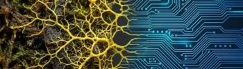 Fusão biotecnológica do organismo Blob Physarum polycephalum com circuitos eletrônicos digitais, representando a biocomputação e o futuro da inteligência artificial.